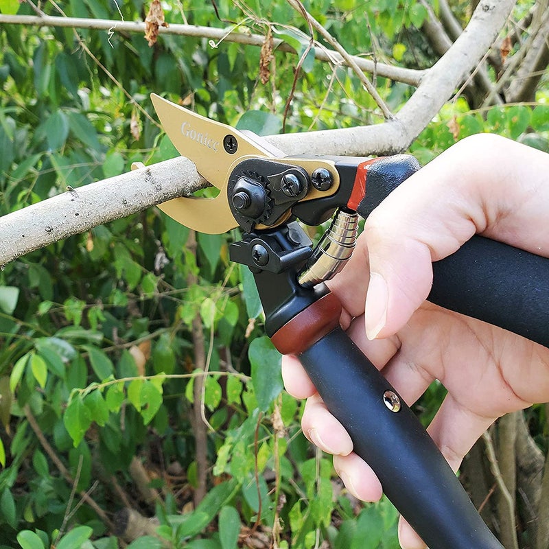 gonicc 8.5" Professional Rotating Bypass Titanium Coated Pruning Shears(GPPS-1014), Secateurs, Scissors, Pruners with Heavy Duty SK5 Blade. Soft Cushion Grip Handle for Everyone. - Image 5